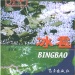 宝兴县好玩的地方